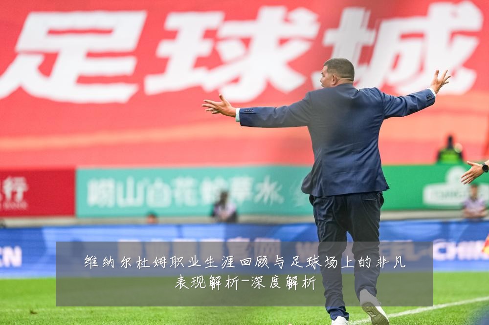 维纳尔杜姆职业生涯回顾与足球场上的非凡表现解析-深度解析
