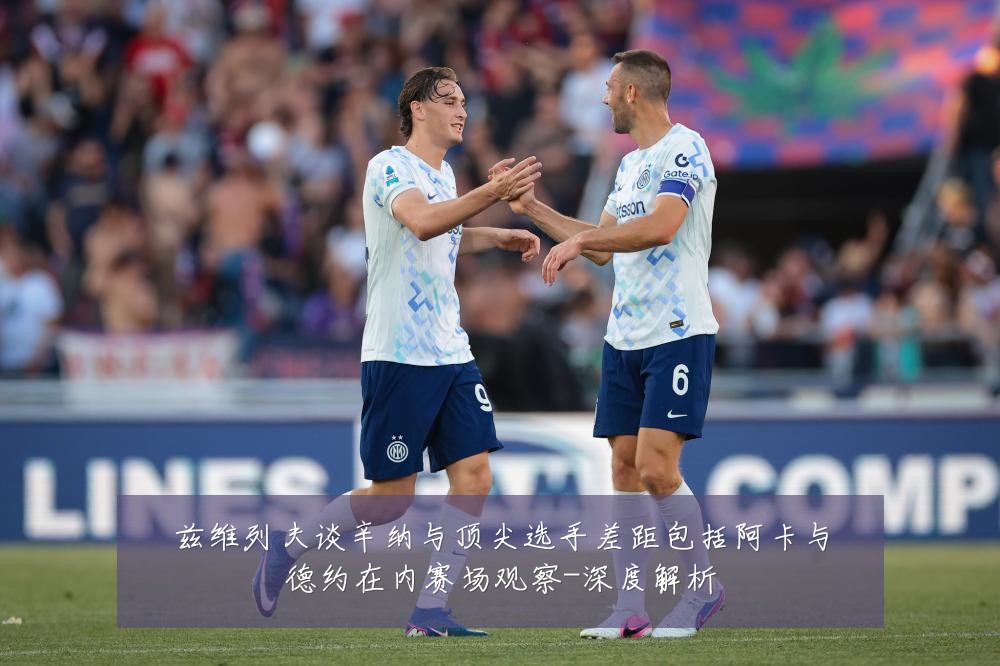 兹维列夫谈辛纳与顶尖选手差距包括阿卡与德约在内赛场观察-深度解析