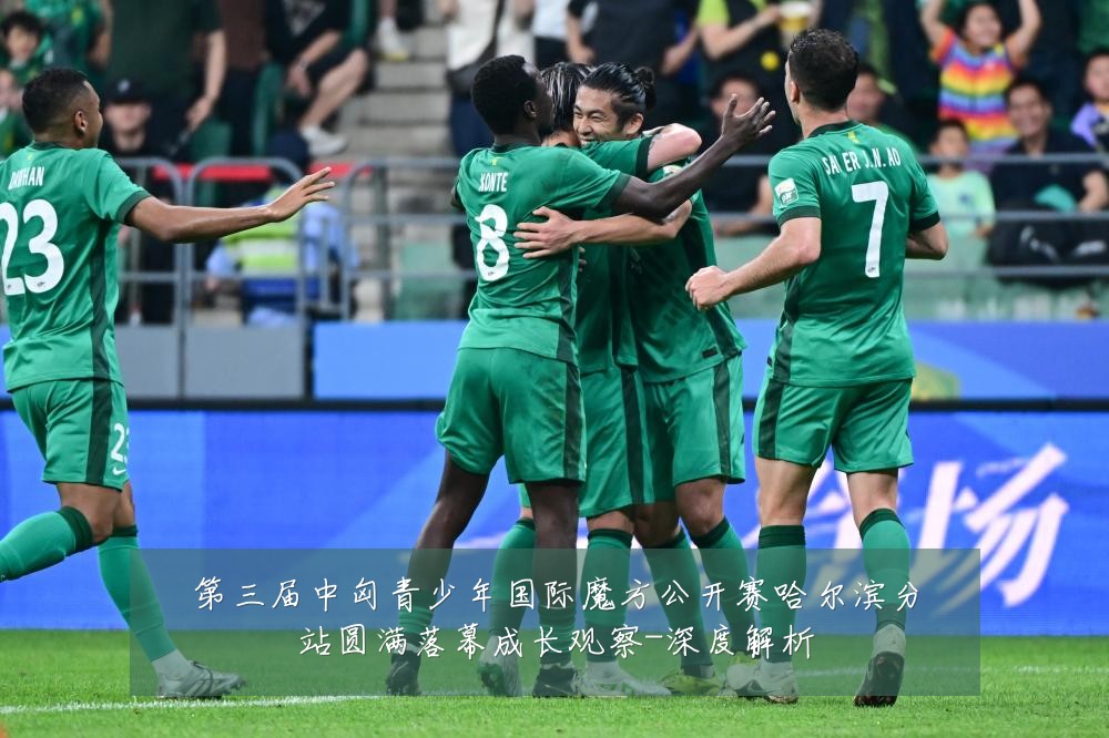 第三届中匈青少年国际魔方公开赛哈尔滨分站圆满落幕成长观察-深度解析